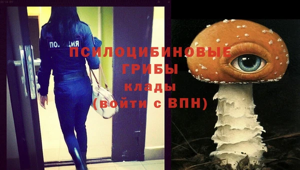 гидропоника Зерноград
