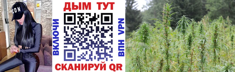 Конопля семена  где продают наркотики  MEGA tor  Анива 